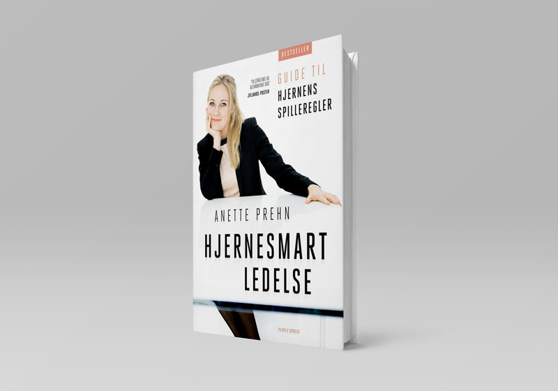 Hjernesmart ledelse - guide til hjernens spilleregler